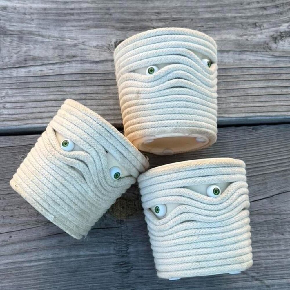 Mummy planters plant holders, set of 3, made from rope and ceramic cups